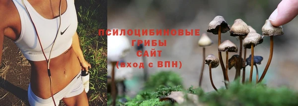ешки Баксан