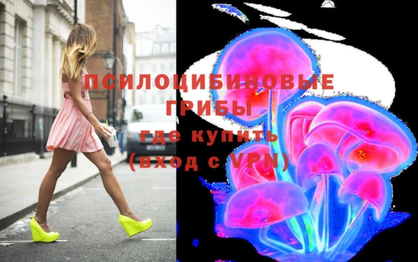 молекула духа Балахна