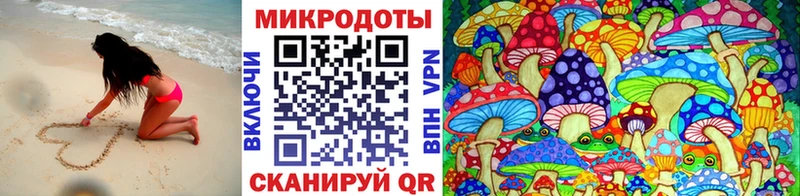 Галлюциногенные грибы Cubensis  Черняховск 